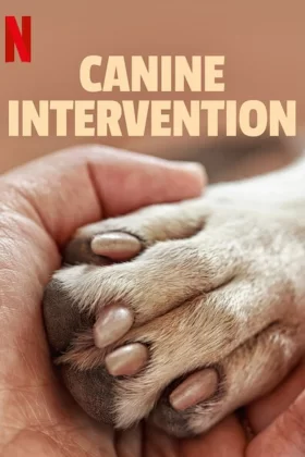 Terapia Canina